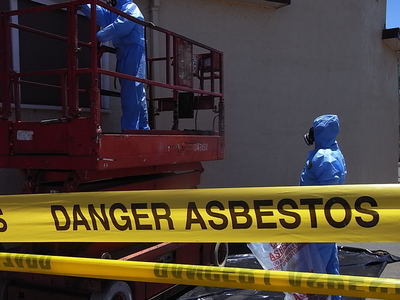 Asbestos Abatement Management