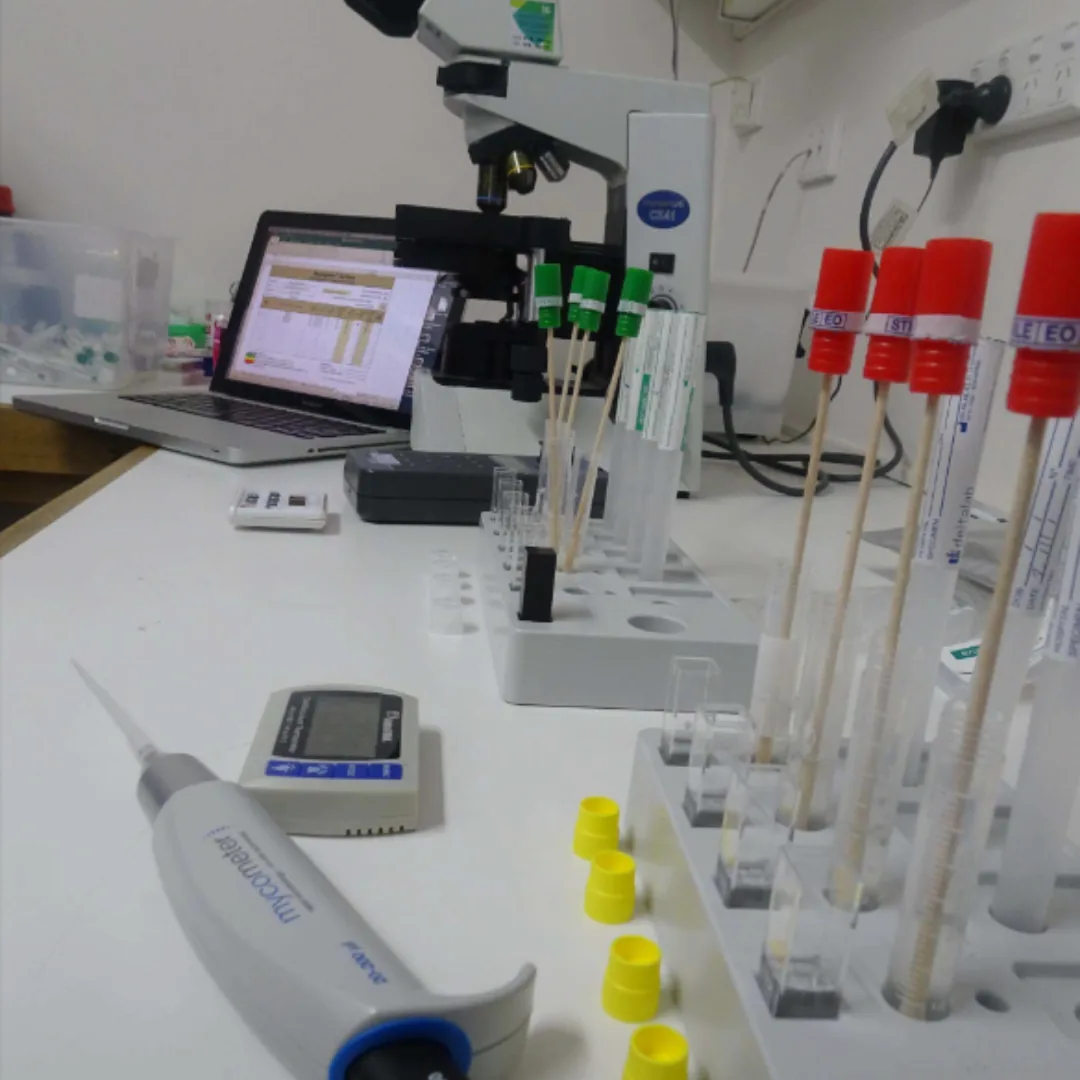 Mould Assessments